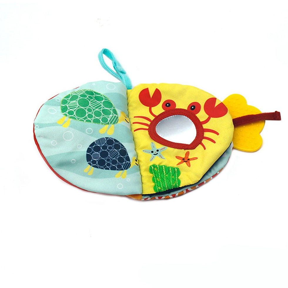 Thumbnail: Little Fish Discovery Book