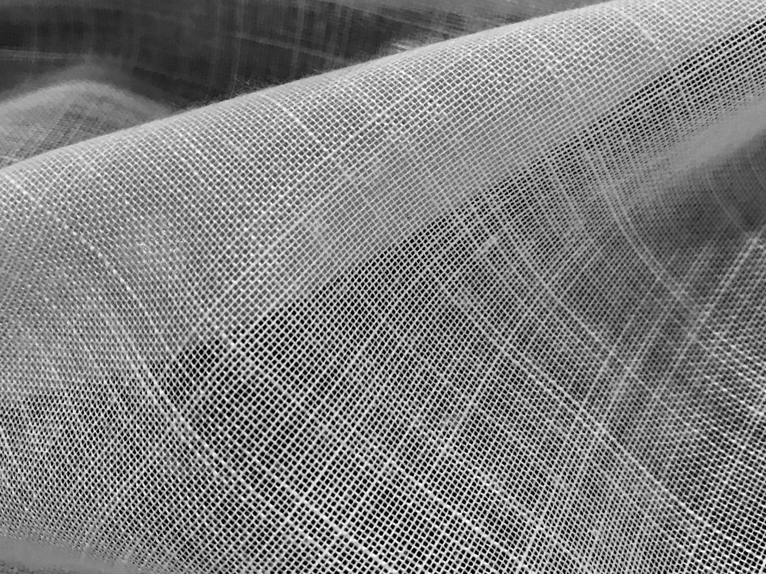 NOELL 1910 SIGNATURE COLLECTION 