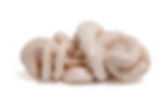 Frozen Pork Uteri 1 bag (400g)