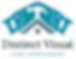 Distinct Visuals_edited.png