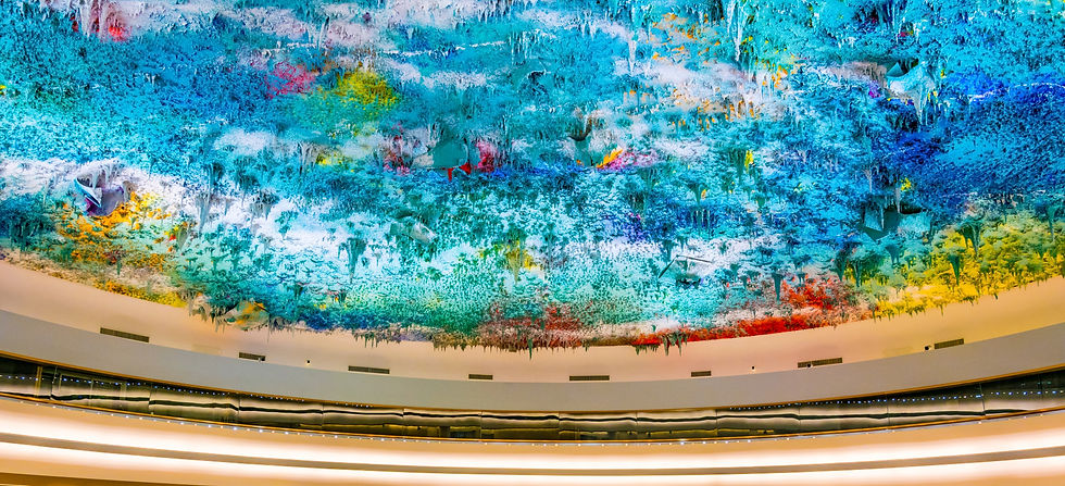 Human Rights and