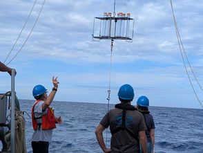 What's the fuss about carbon flux?