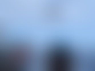 What's the fuss about carbon flux?