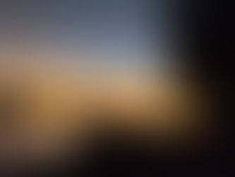 Glowworms, octopus, and lobsters, oh my! 