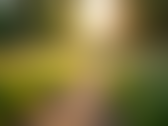 What to Do If You Are Fired After Giving Two Weeks Notice