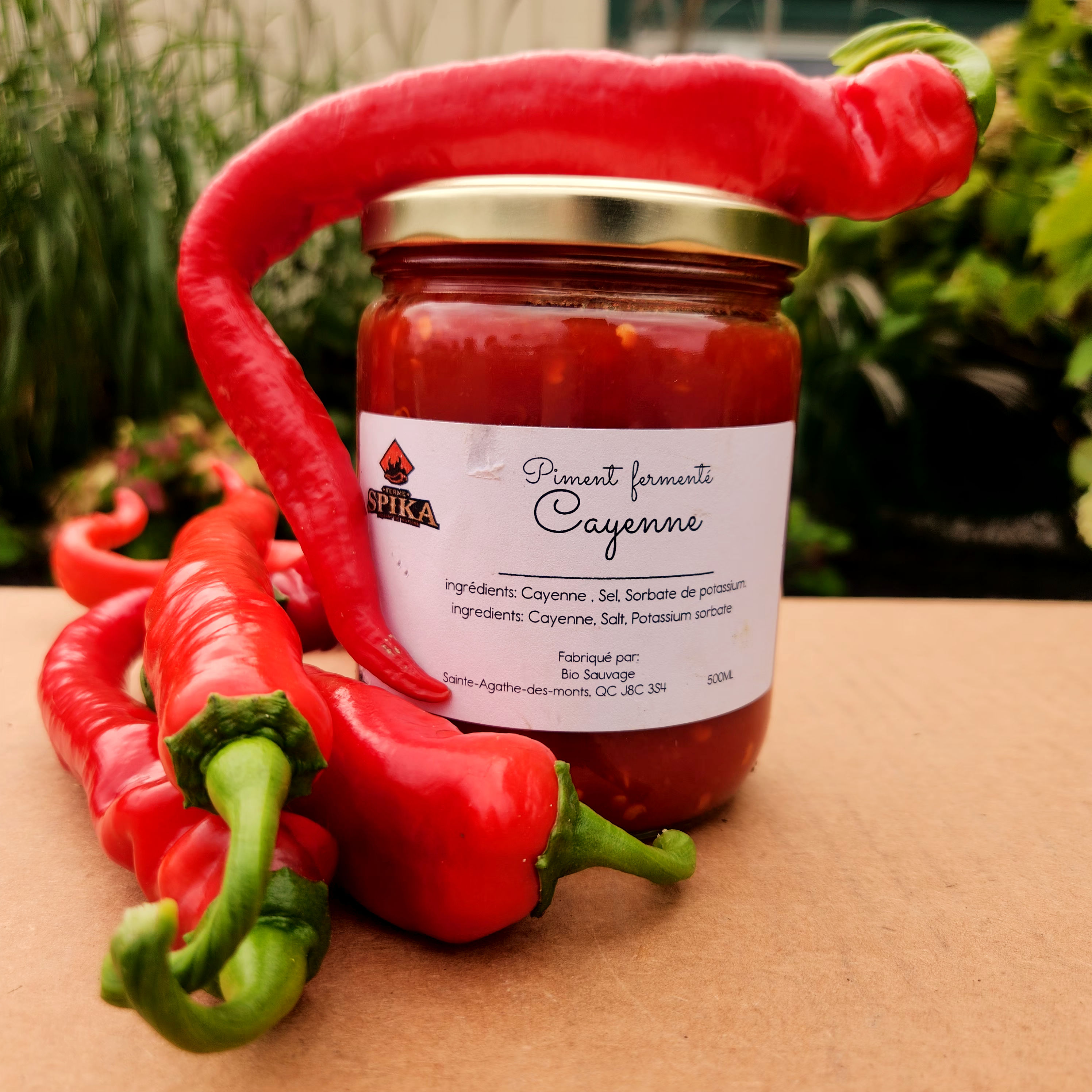 Piment cayenne fermenté