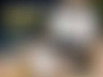 Planejamento reverso no mestrado: como ter clareza na reta final da dissertação