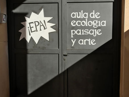 ECOLOGÍA - PAISAJE Y ARTE