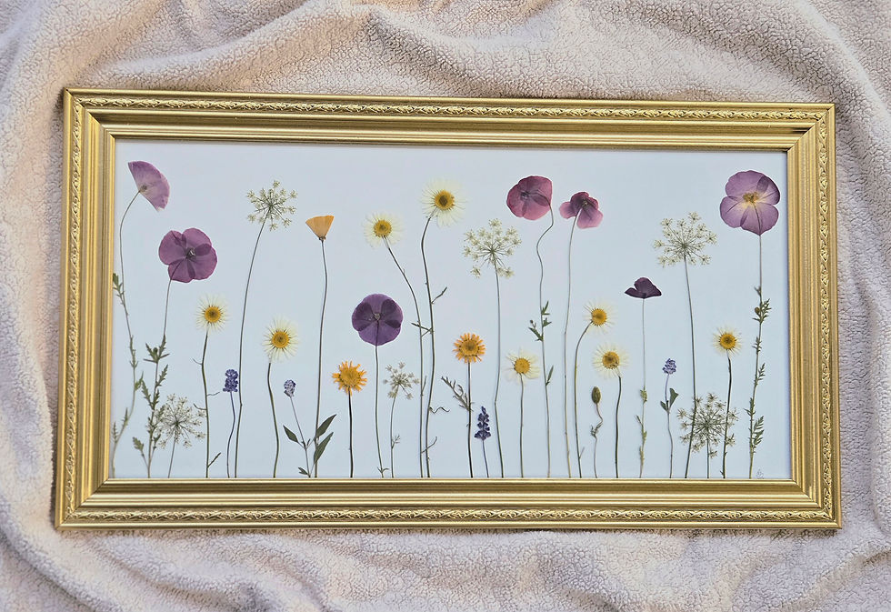 Among the Poppies - Pressed Botanicals