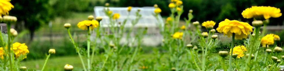 20250618_073434_edited_edited.jpg