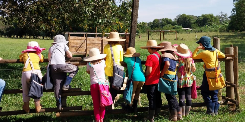 Crianças no campo