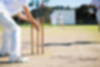 Wicket Keeper behind the stumps