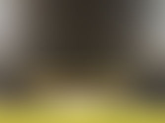 T20 World Cup Final - India v South Africa