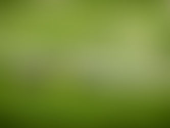 Wimbledon 2024 Day 6 (Saturday) Preview and Tips