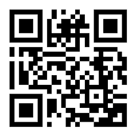 wa.link_03wckn-servicio en general.png