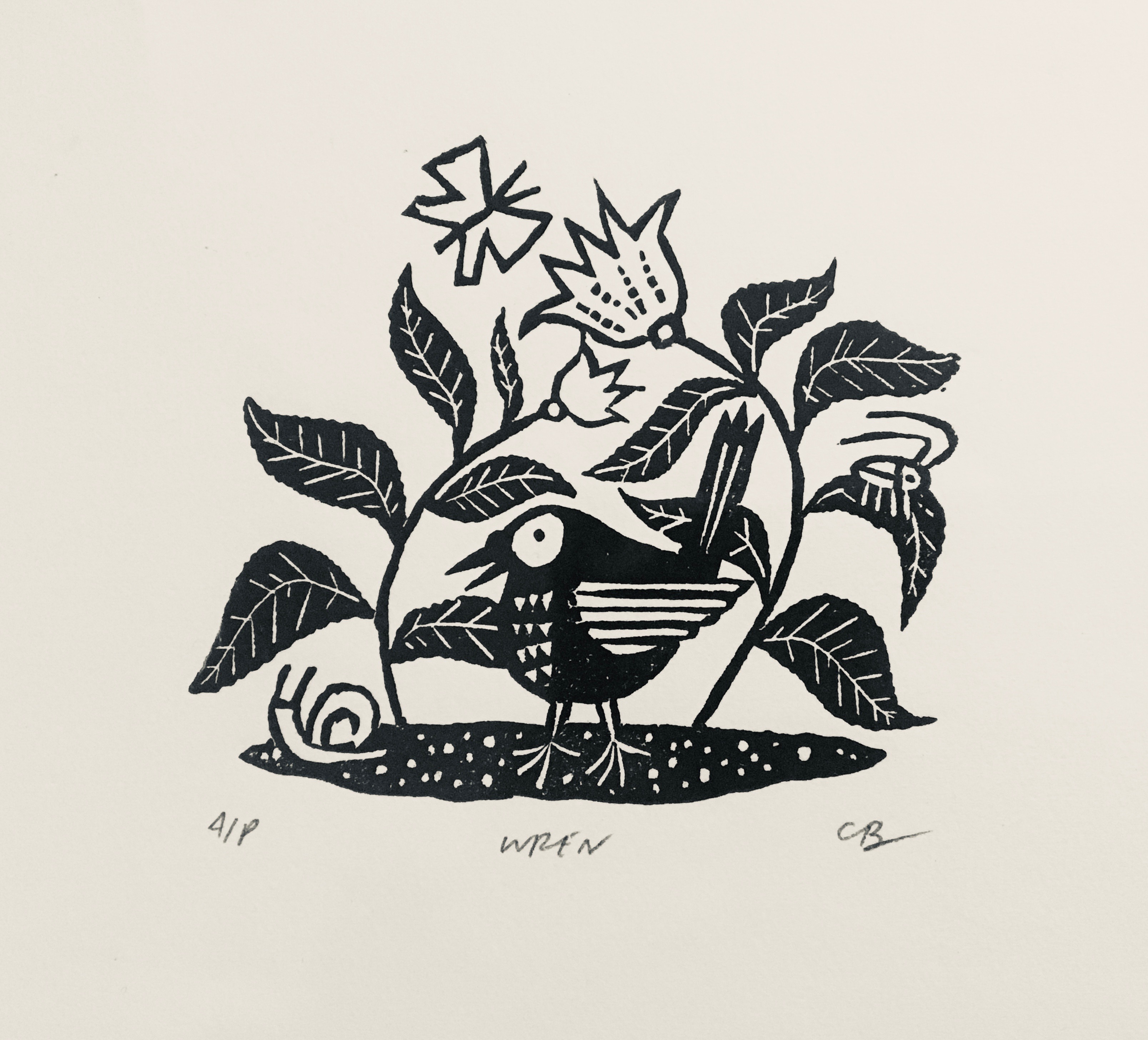 Little Wren