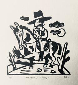 Western Novel