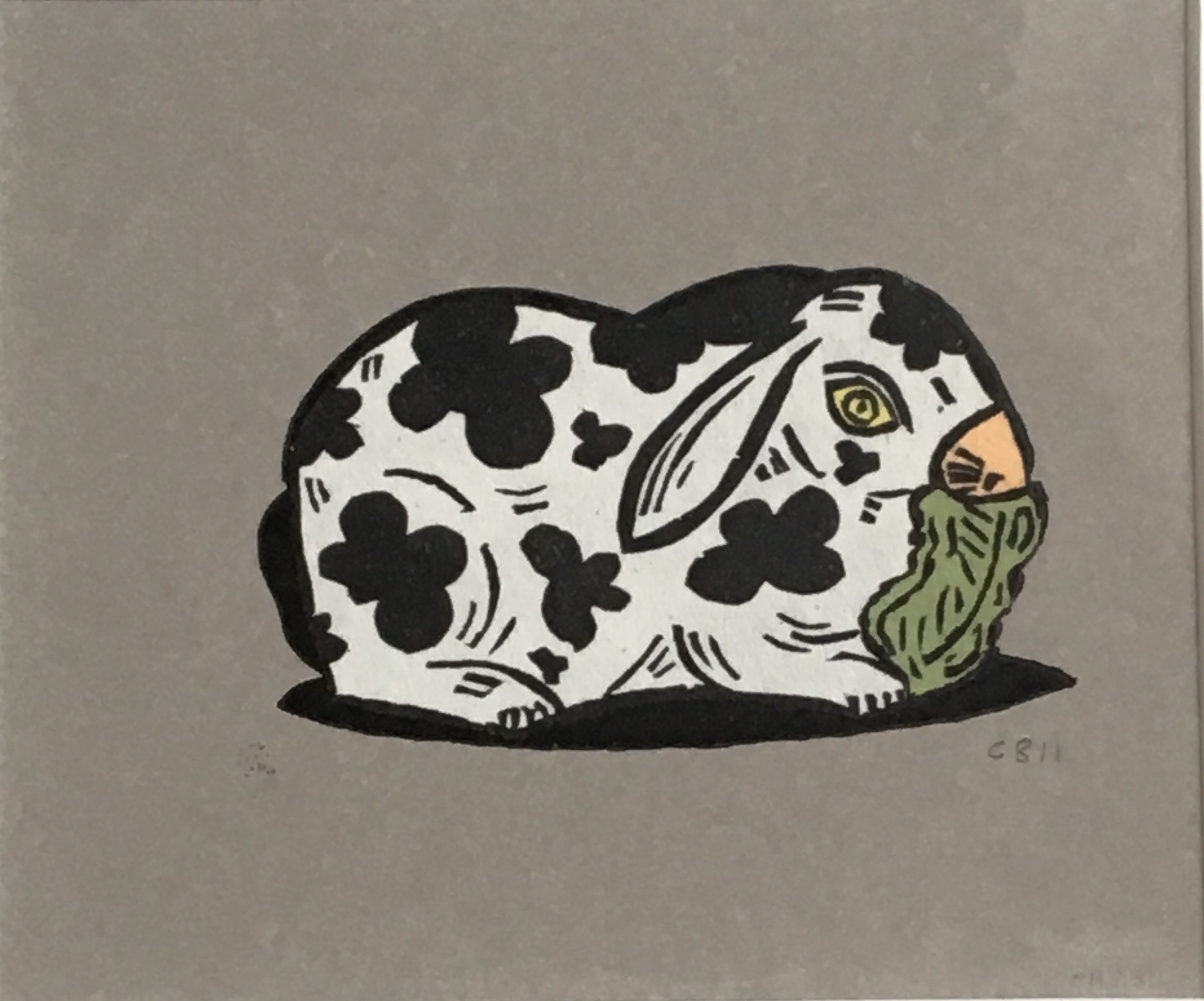 Rabbit