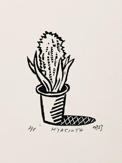 Hyacinth