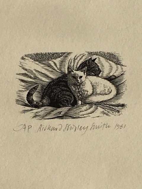 The Artist's Cat 1981, Mr.Pipkin