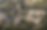 Untitled-1.png