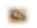 IMG_5455.png