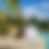 Thumbnail: Melanin Isle