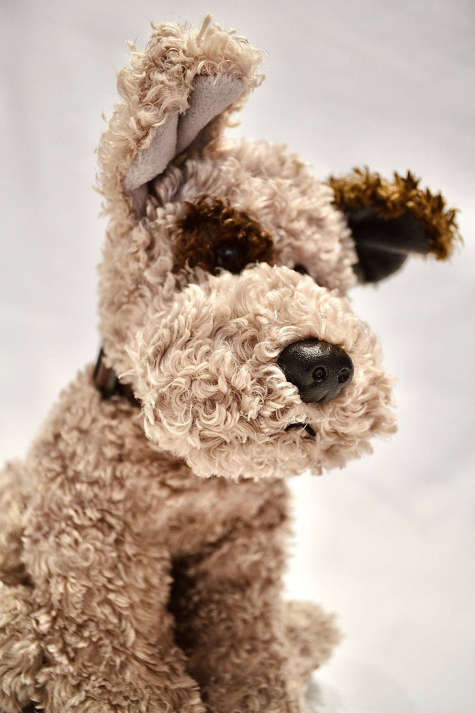 Thumbnail: Rufus
