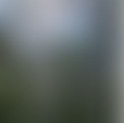 Governança por meio de futuros especulativos na Amazônia *