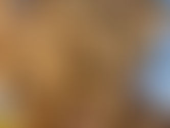 Friendsgiving Brings The Lakeside Community Safely Together During The Holiday Season