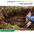 Safe Digging Starts with 811