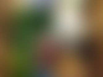 Chatham Village Apartment's 'Park in Market' Provides Assistance to Residents