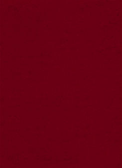 p0455_m.jpg