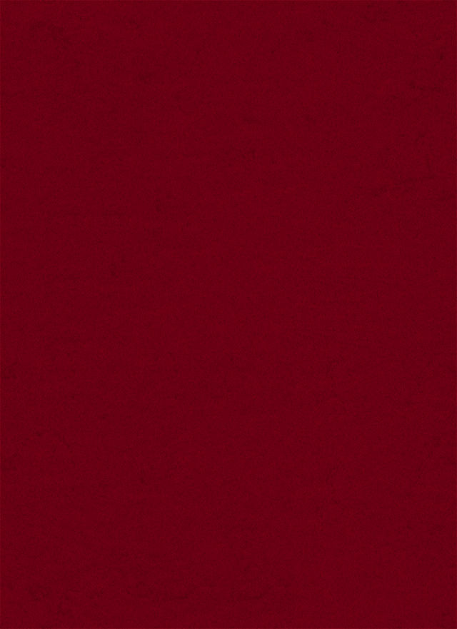 p0455_m.jpg