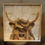 Thumbnail: Highland Cow