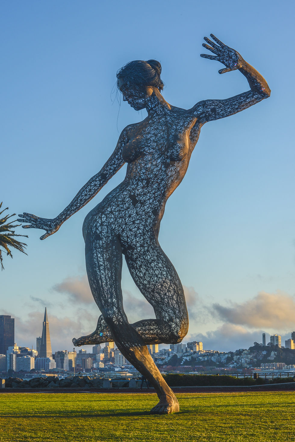 Wire Sculpture on Treasure Island California Fine Print