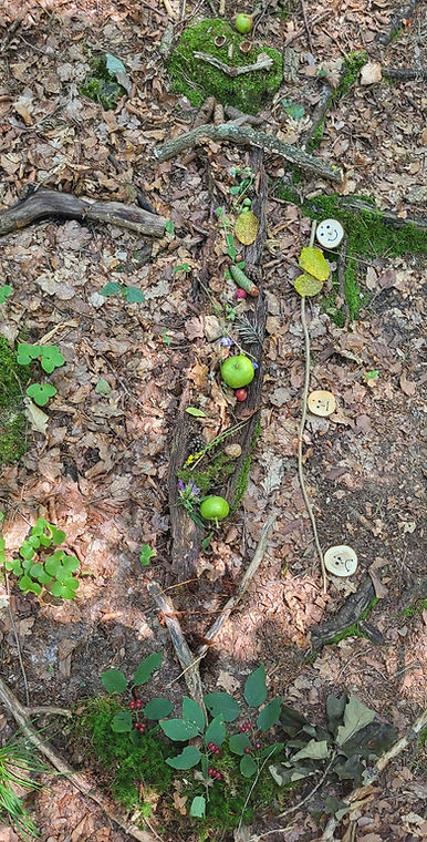 Waldboden Naturcoaching