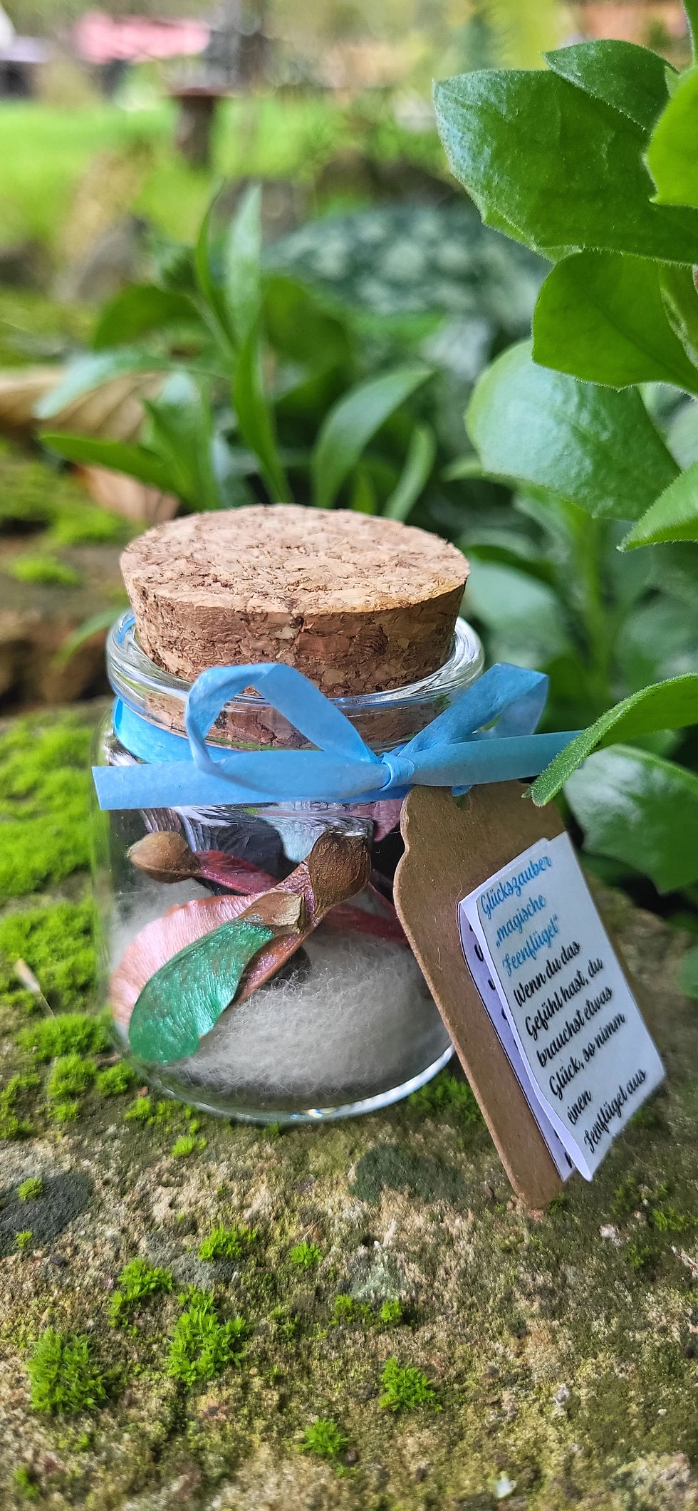 Miniaturbild: Magischer Feenzauber bunte Feenflügel im Glas Glücksbringer Wunscherfüller