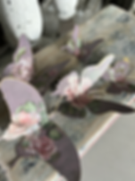 French Lilac Rose Metal Butterflies