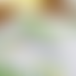 Plan, Predict, and Prosper: Financial Forecasting Secrets for Small Business Success