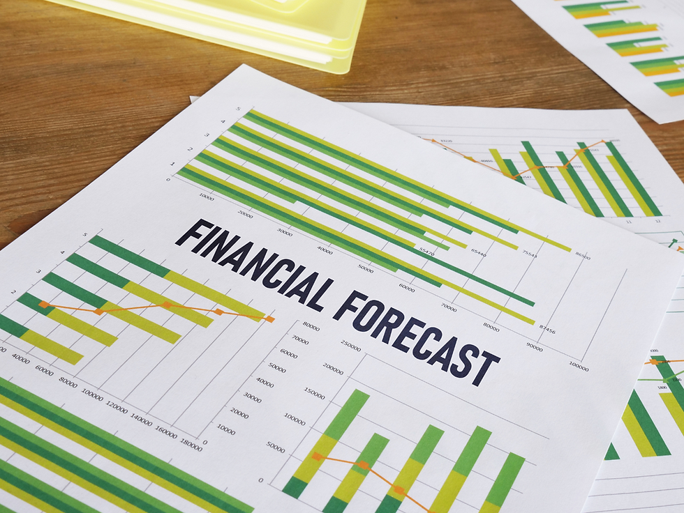 Understanding the Basics of Financial Forecasting