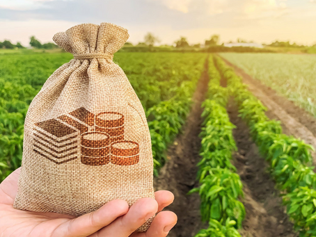 Enhancing Rural Credit Accessibility with Technology