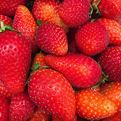 Fraises