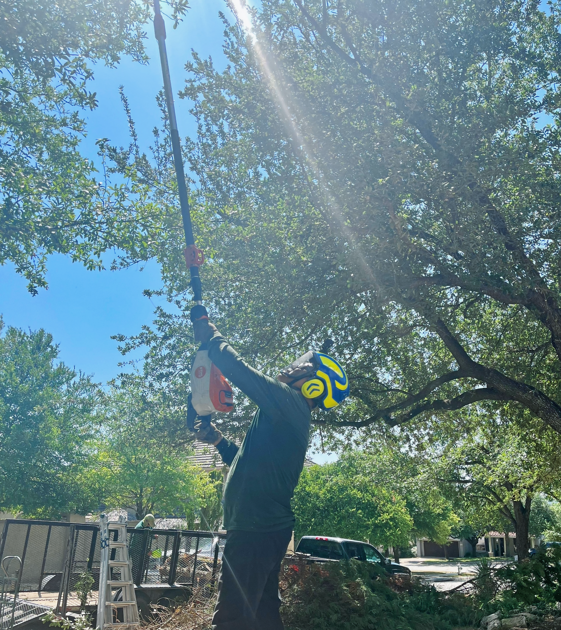 Legacy Tree Trimming on a tree trimming job