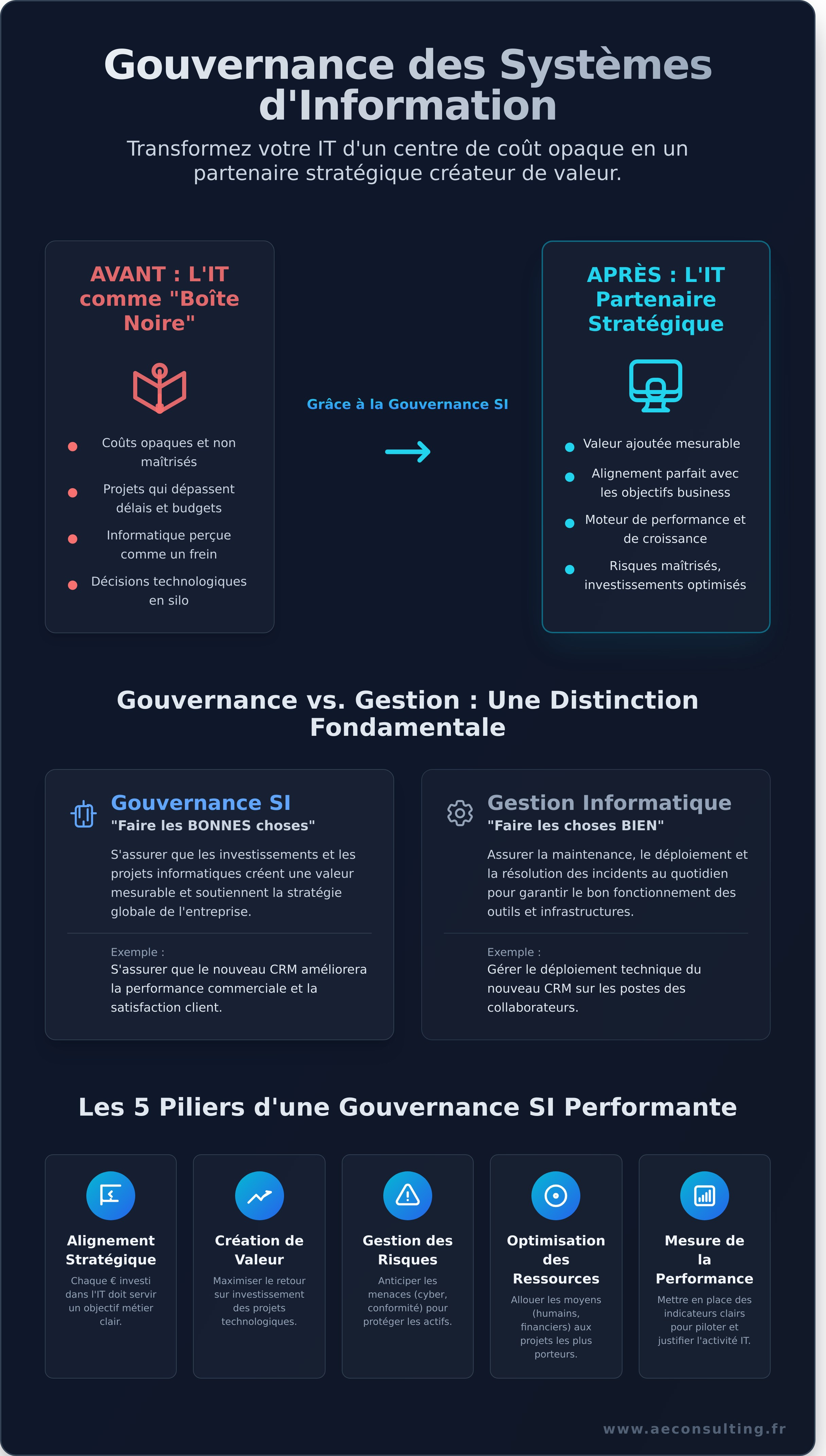 Conseil en gouvernance des systèmes d'information infographic - visual guide