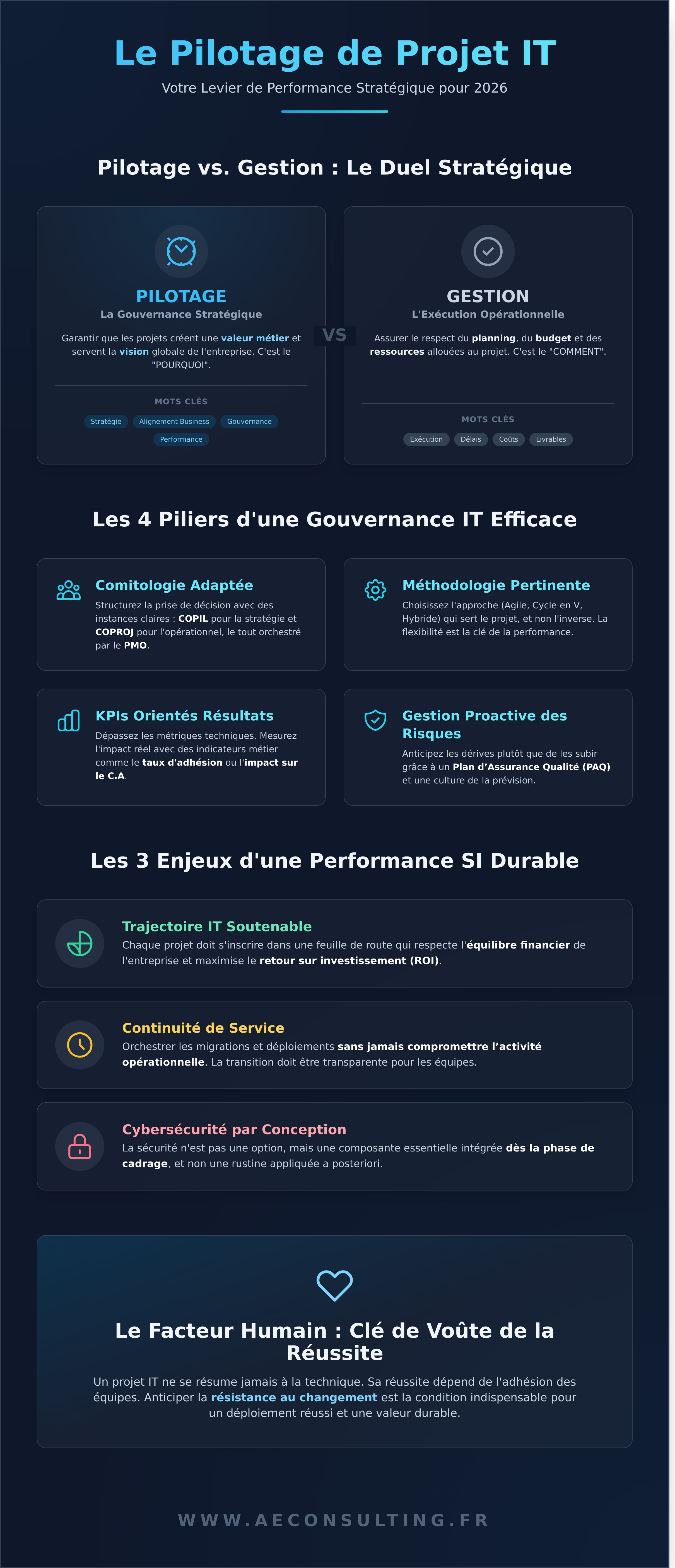 Pilotage projet it infographic - visual guide