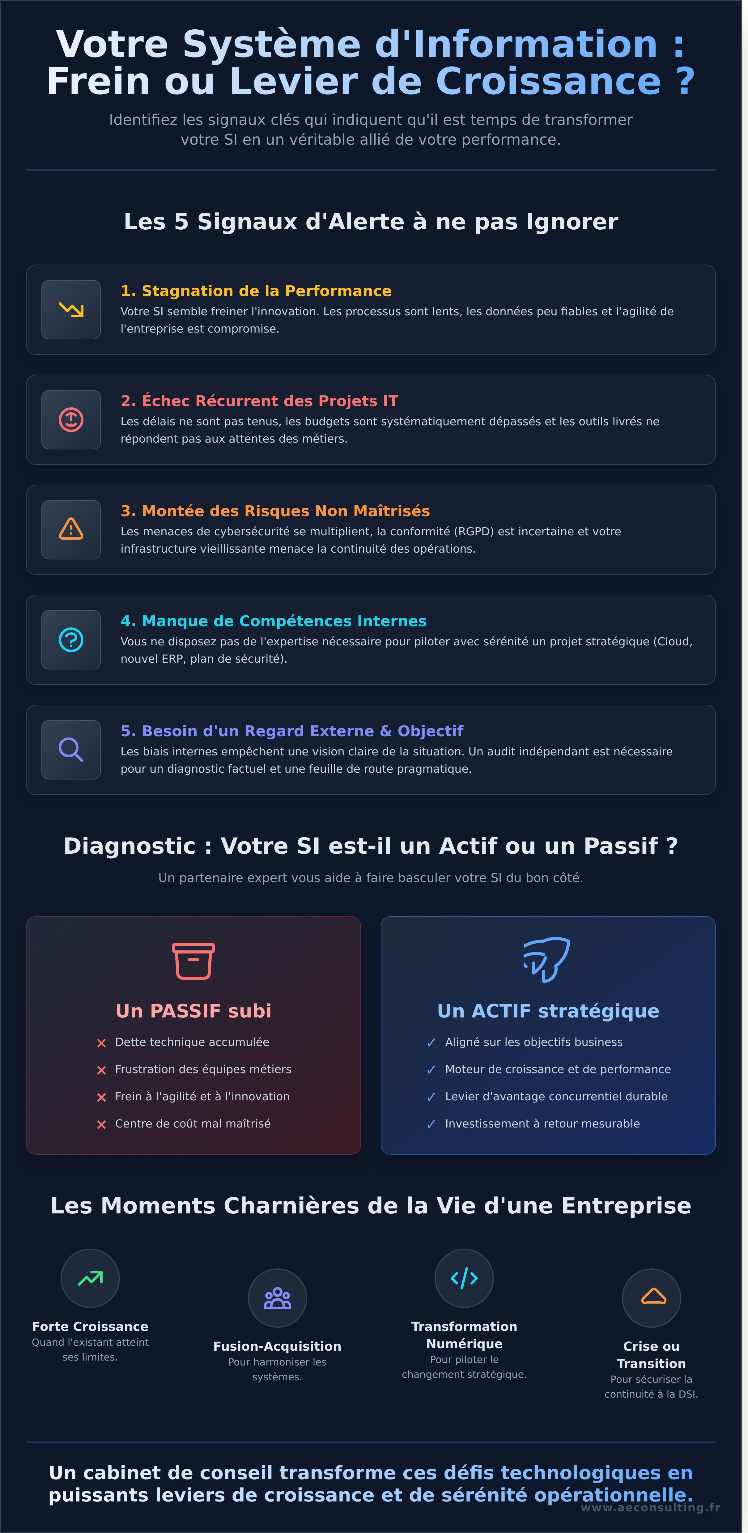 Cabinet de conseil en systèmes d'information infographic - visual guide