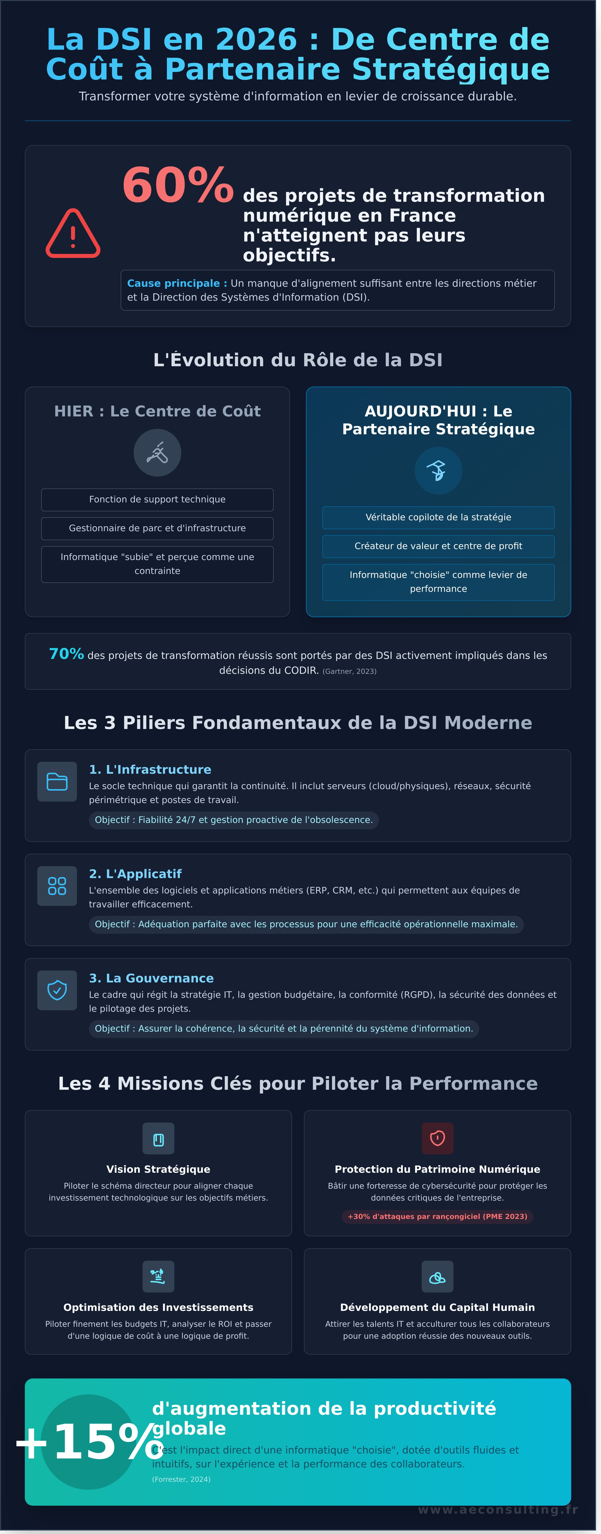 Dsi informatique infographic - visual guide