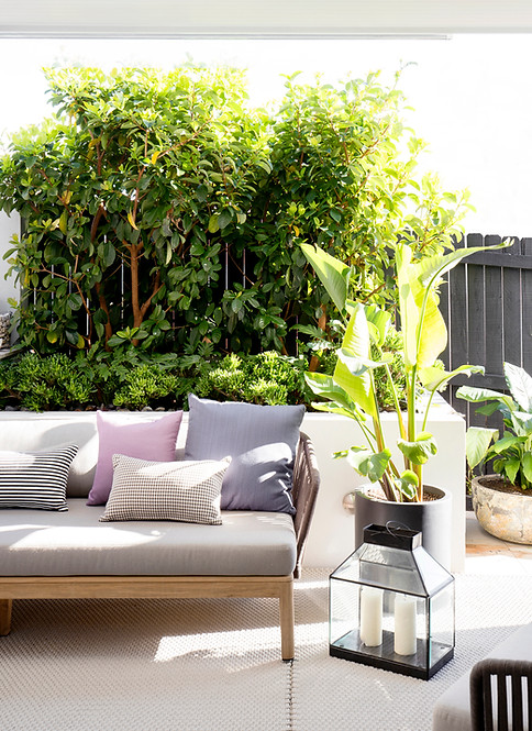 balcony with outdoor sofa sydney interior design cove house