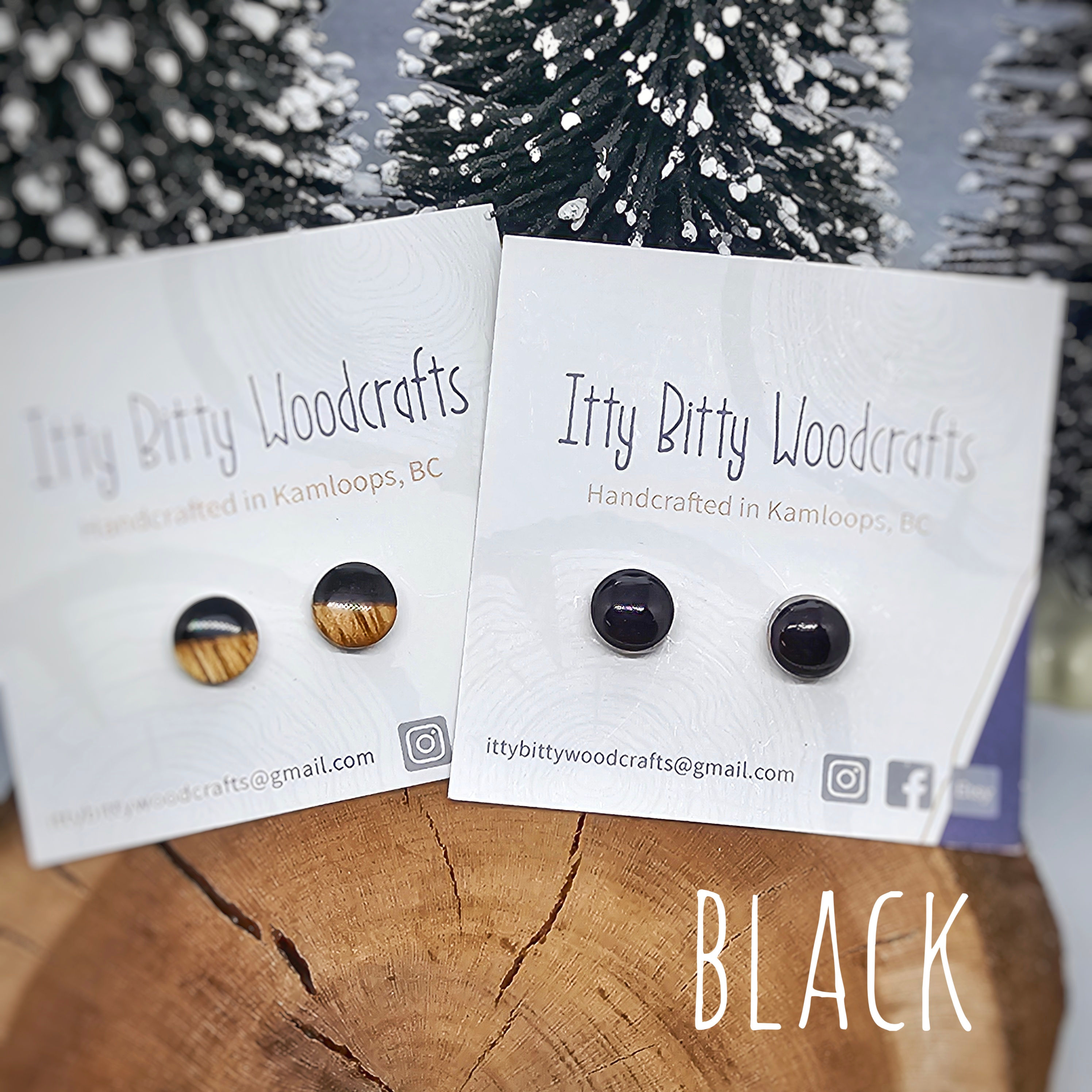 Black Stud Earrings